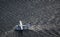 Aerial view of a seaplane on the surface of an ocean in Boston Logan International Airport, USA