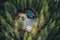 Aerial view of secluded cottage in the woods. Log cabin in the forest in rural Finland
