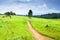 Aerial view of serene dirt pathway in the green fields on rainy morning