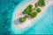 Aerial View of a Serene Tropical Island