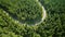 Aerial view of the serpentine road in the green forest, Summer Pine Forest and Winding Curvy Road, Top Down Birds Eye View