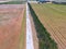 Aerial view of sheep on outback road