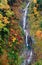 Aerial view of silky waterfalls & a stream flowing in a mysterious gorge of colorful autumn trees in Japanese Central Alps Nationa