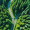 Aerial view of a single car driving along the curvy road going through a forest and