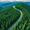 Aerial view of a single car driving along the curvy road going through a forest and