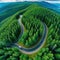 Aerial view of a single car driving along the curvy road going through a forest and