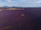 aerial view of single farm building on cultivated lavender field