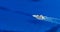 Aerial view of single yacht in azure sea