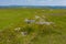 Aerial view of sinkholes and shakeholes from collapsed cave systems on remote moorland