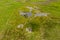 Aerial view of sinkholes and shakeholes from collapsed cave systems on remote moorland