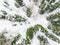 Aerial view of sledding with husky dogs in Lapland Finland