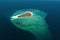 Aerial view of small exotic island surrounded by coral reef and blue sea