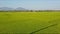 Aerial view small figure plays among green rice fields