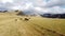 Aerial view of small herd of horses grazing on mountain meadow