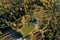 Aerial view of a small homestead and colorful autumn forest