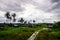 Aerial view small path towards Malays village