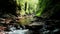 Aerial view of small stream surrounded with lush forest