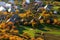 Aerial view on small town - colorful fields and trees in autumn, Slovakia - Povazie