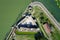 Aerial view of Smederevo fortress on Danube river