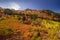 Aerial view of Snow basin in Utah filled with brilliant fall foliage