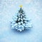 Aerial view snow christmas tree pine isolated.