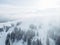 aerial view of snowed forest in mountains