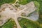 Aerial view of a soil dump and building rubble dump with a sand and gravel heap, several building rubble heaps and a yellow wheel