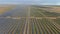 Aerial view of a solar panel farm with sea on the horizon under a cloudy stormy sky. Green energy