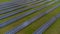 Aerial view of Solar Panels Farm solar cell with sunlight. Drone flight over solar panels field, renewable green