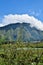 Aerial view of some agricultural fields in Sembalun. Sembalun is situated on the slope of mount Rinjani and is surrounded by