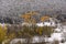 Aerial view of some yellow trees emerging a snowed forest