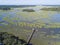 Aerial view of the South Carolina lowcountry with tidal estuary