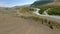 Aerial view speed dive from mountain peak texture dry grass river and highway road sunny panorama