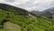 Aerial view of spring forest tree