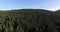 Aerial view of spruce forest near Black lake in Montenegro