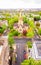 Aerial view of St Johnâ€™s Church in the morning, London, UK