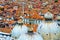 Aerial view St Mark`s Basilica dome red roofs ol houses