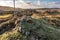 Aerial view of standing stone in Glencolumbkille in County Donegal, Republic of Irleand