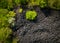 Aerial view of the stark contrast between a massive landfill of used car tires and the surrounding green trees. Tire