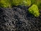 Aerial view of the stark contrast between a massive landfill of used car tires and the surrounding green trees. Tire