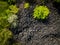 Aerial view of the stark contrast between a massive landfill of used car tires and the surrounding green trees. Tire