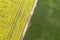 Aerial view of straight ground road in green and yellow fields with blooming rapeseed plants on sunny spring or summer day. Drone