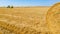 Aerial view of straw bale on farm field