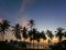 Aerial view stunning sky at sunrise above coconut trees.