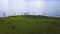 Aerial view of sugar cane fields on the coast of St Kitts.