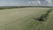 Aerial View Of Summer Field With Young Green Wheat In Rural Landscape. 4K Ungraded D-log.