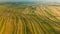 Aerial view of summer fields near Suloszowa village in Krakow County, Poland