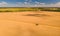 Aerial view of summer harvest. Combine harvester harvesting large field