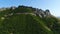 Aerial view of sunlit slopes of beautiful mixed forest in fresh green colors of summer. Shot. Forestry, nature and