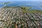 Aerial view at sunrise of suburban housing on end of Long Island